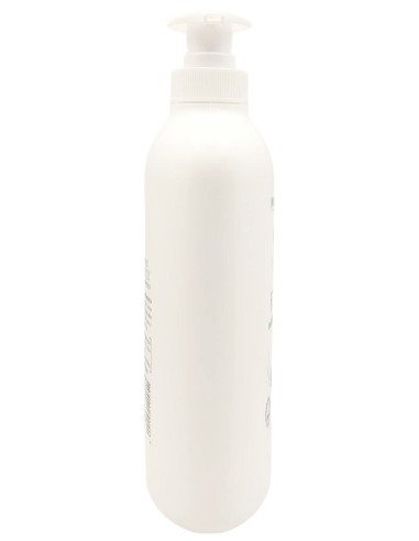 venus detergente intimo - maxi 500ml - fresco con antibatterico - eucalipto: tuttocasashop.live: igiene e cura della persona
