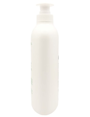 venus detergente intimo - maxi 500ml - fresco con antibatterico - eucalipto: tuttocasashop.live: igiene e cura della persona