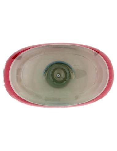 coccolino ammorbidente concentrato xxl 87 lavaggi 1827ml peonia rossa e mela: tuttocasashop.live: prodotti per bucato e tessuti