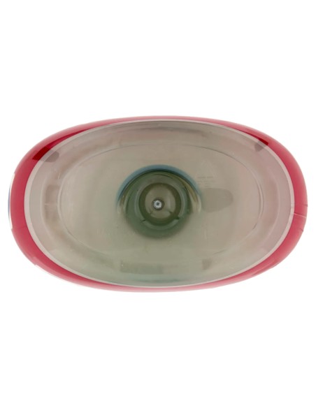 coccolino ammorbidente concentrato xxl 87 lavaggi 1827ml peonia rossa e mela: tuttocasashop.live: prodotti per bucato e tessuti