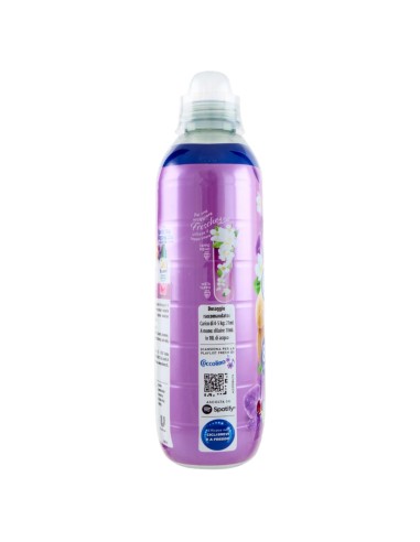 coccolino ammorbidente concentrato xxl 87 lavaggi 1827ml orchidea e mirtilli: tuttocasashop.live: prodotti per bucato e tessuti