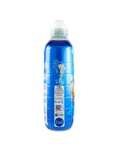 coccolino ammorbidente concentrato 87 lavaggi 1827ml campanula e bergamotto: tuttocasashop.live: prodotti per bucato e tessuti