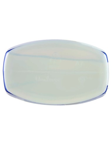 cif spray - bagno e anticalcare - 650ml - gelsomino - per tutte le superfici: tuttocasashop.live: pulizia e cura della casa