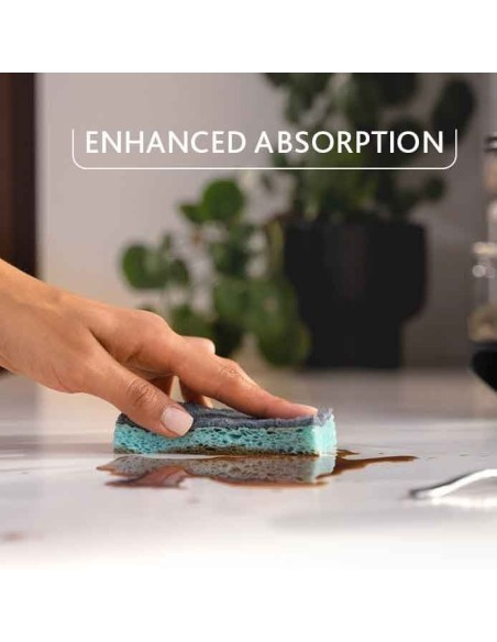 vileda pro clean spugne con abrasivo - 2 pezzi - viscosa: tuttocasashop.live: pulizia e cura della casa