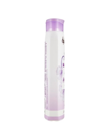splend'or balsamo per capelli 300ml - acido ialuronico - capelli secchi: tuttocasashop.live: igiene e cura della persona