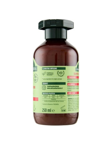 antica erboristeria shampoo 250ml - ortica - seboregolatore - capelli grassi: tuttocasashop.live: igiene e cura della persona